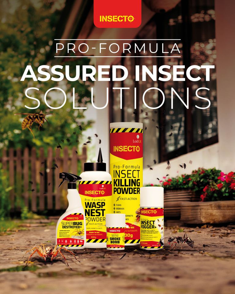 Insecto Pro Formula Assured Insect Solutions