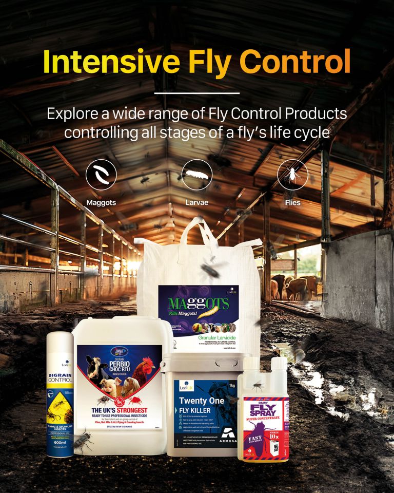 Intensive Fly Control Explore a wide range of Fly Control Products controlling all stages of a fly's life cycle
