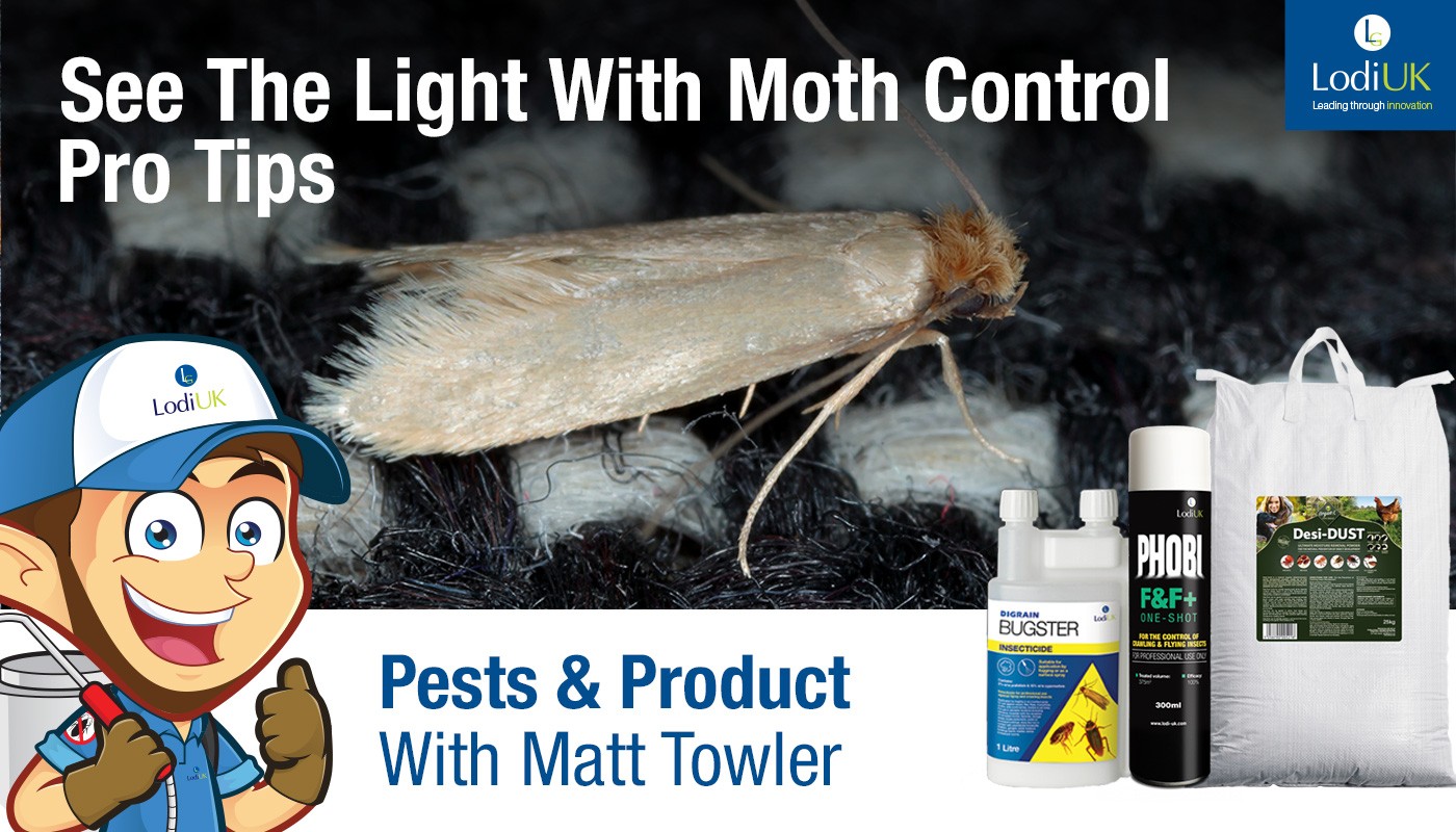 Lodi's Expert Advice for Treating Clothing Moths - Lodi UK