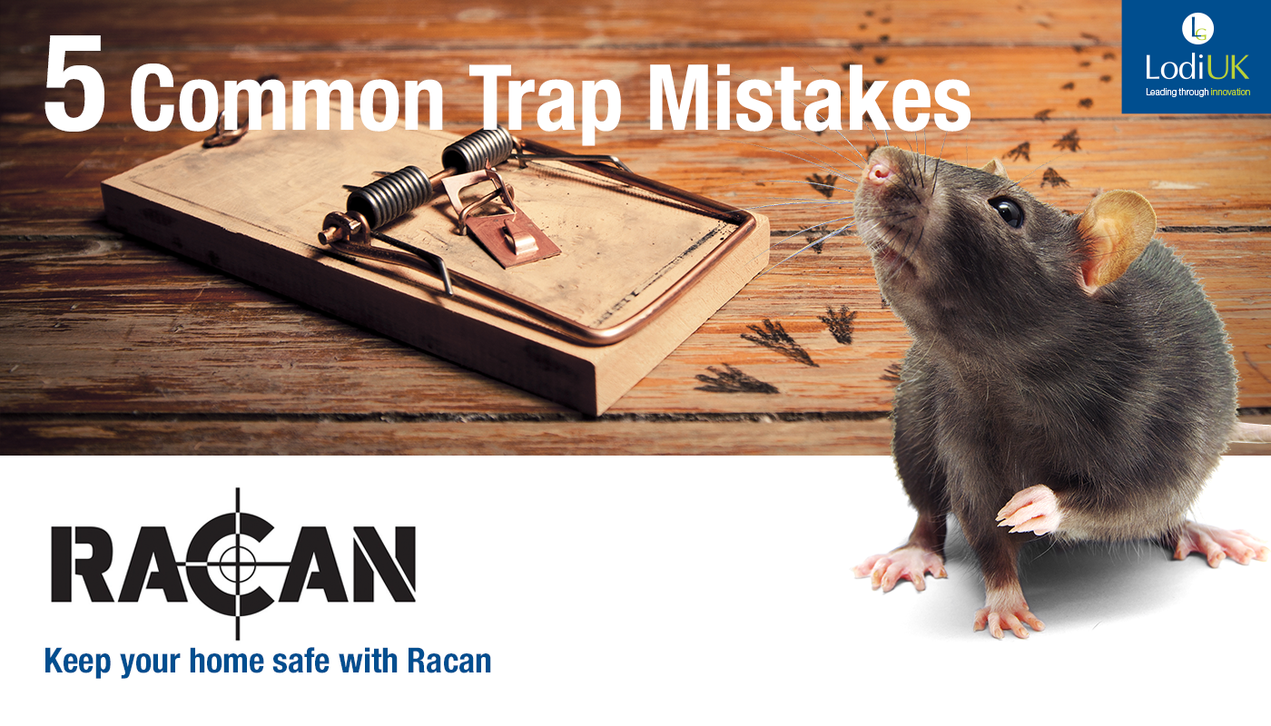 5 Mouse Trap Mistakes You Might Be Making - Lodi UK
