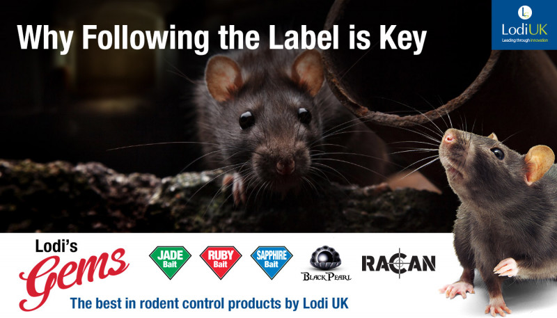 How to use Anti Rodent Spray - Lodi UK