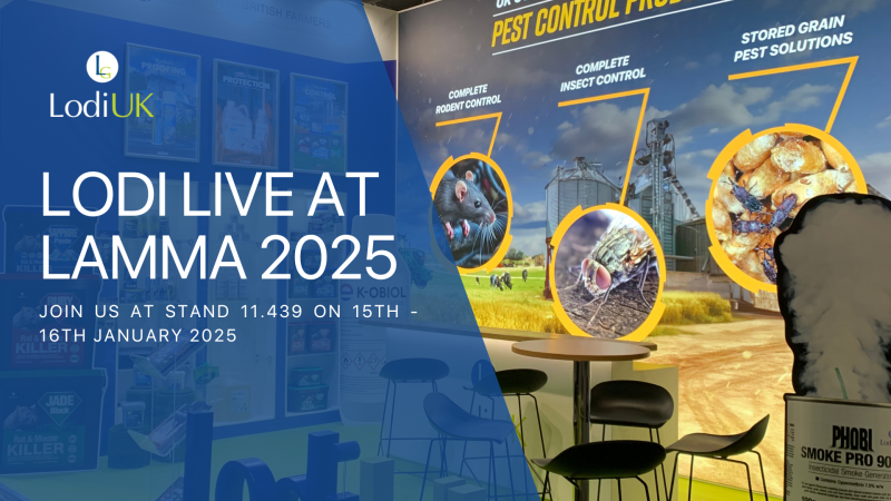 LODI UK Live at LAMMA 2025