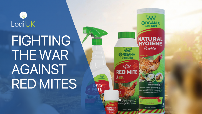 Poultry Vs Pests - Fighting the war against Red Mites with Naturally Effective Pest Solutions & How Organ-X Desi Dust can Support with Poultry Hygiene