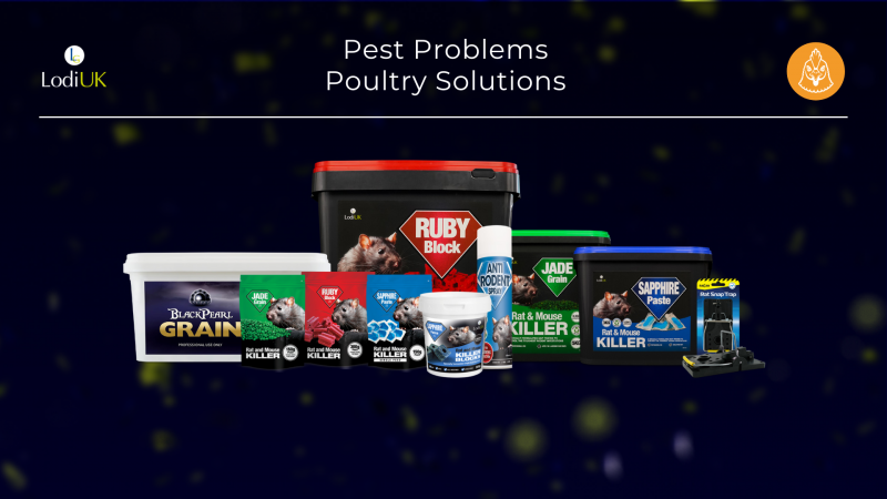 The Hidden Pests on Poultry Farms: Solutions with Lodi UK