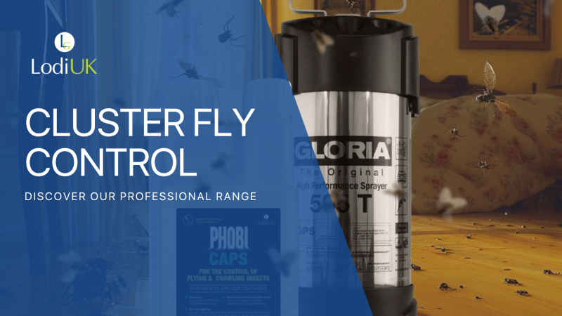 Advanced Insights into Cluster Fly Control for Professionals