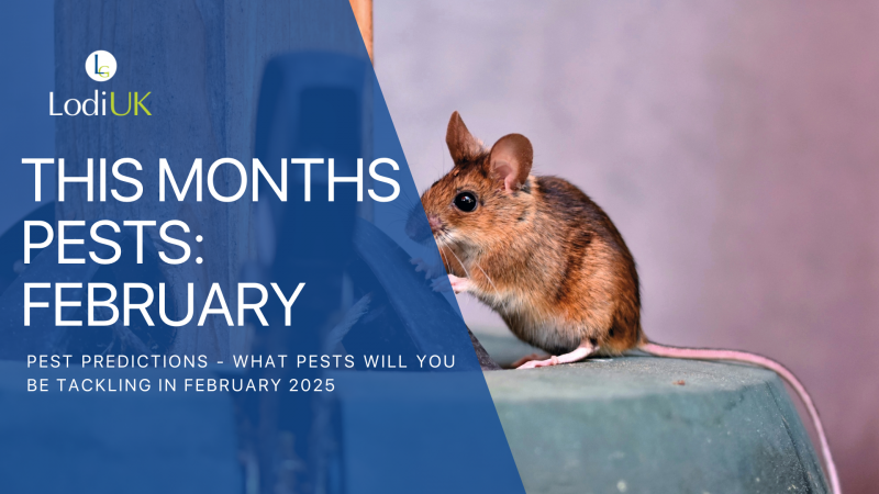 Pest Predictions - What pests will you be tackling in February 2025