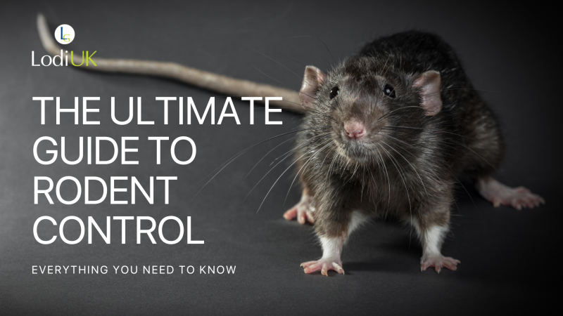 The Ultimate Guide to Rodent Control