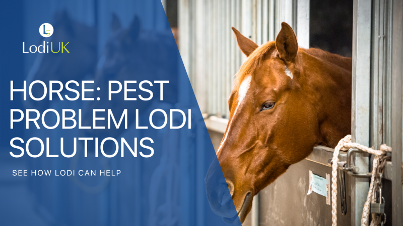 Pest Problems, Equine Solutions - Your complete product guide for protecting Horses & Farms