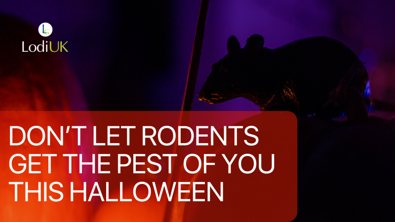 Don’t Let Rodents Get The Pest Of You This Halloween! 