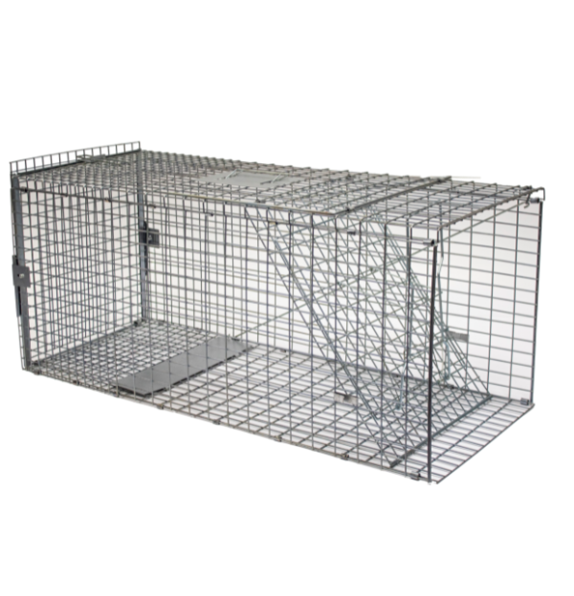 Racan Fox Trap